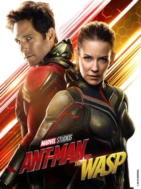 myflixer ant-man and the wasp|Watch Ant.
